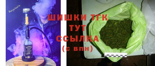 ешки Иннополис