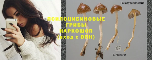 бошки Инсар