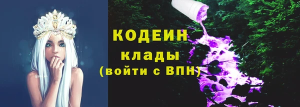 ешки Иннополис