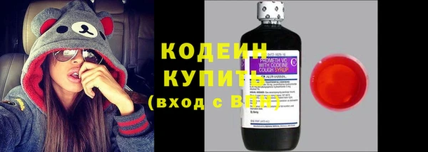ешки Иннополис