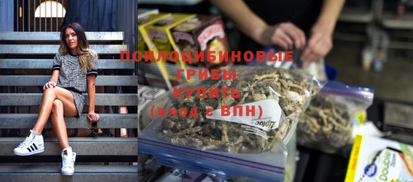 бошки Инсар
