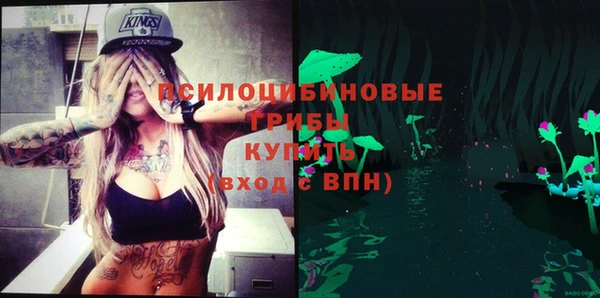 бошки Инсар