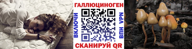 Галлюциногенные грибы прущие грибы Купить закладки Макаров